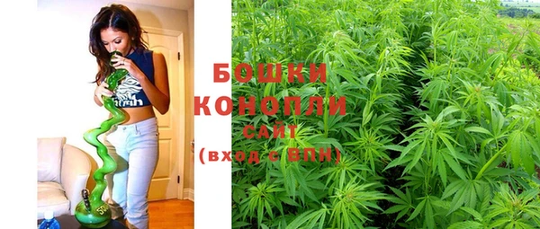 прущие крисы Кулебаки