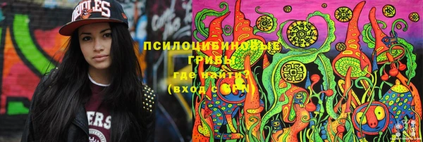 гидра Кукмор