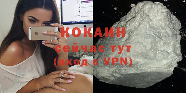гидра Кукмор