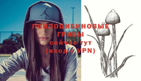 прущие крисы Кулебаки