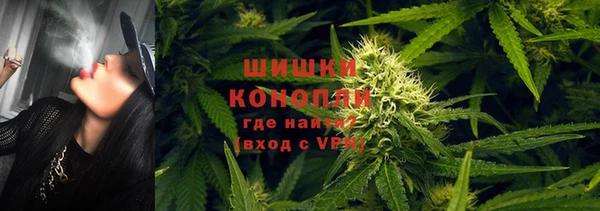 PSILOCYBIN Куйбышев