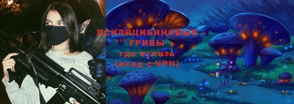 PSILOCYBIN Куйбышев